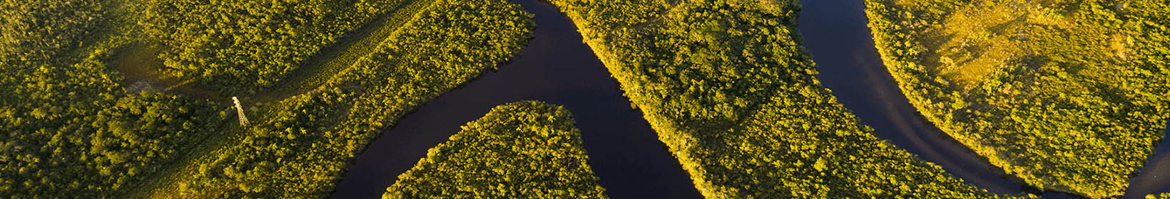 A imagem reflete o tema do consumo sustentável de produtos da Amazônia e sua importância para a preservação ambiental.