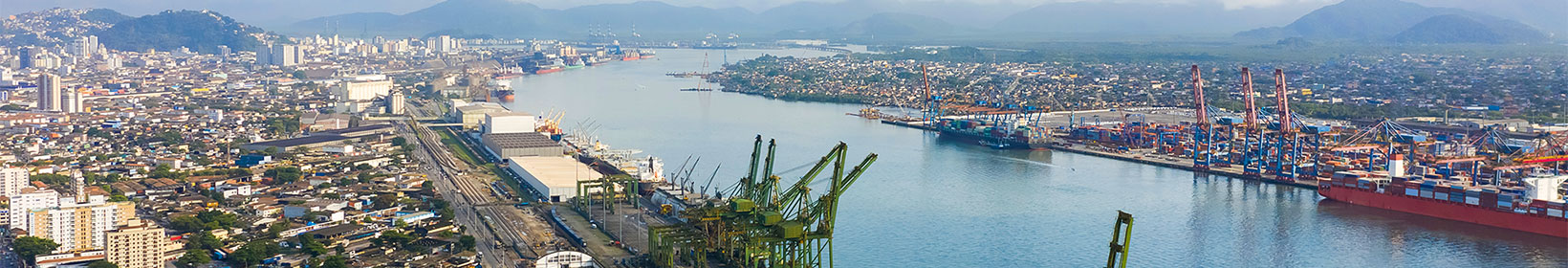 Imagem ampla de um porto, mostrando um grande número de navios e contêineres em movimento, refletindo a atividade intensa e o fluxo de cargas.