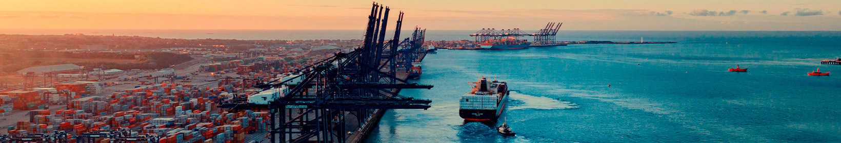 Porto de Pecém bate recorde de toneladas de carga circulada
